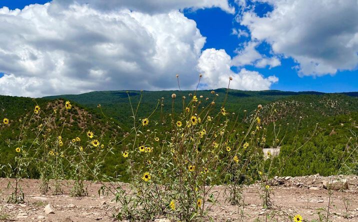 Pictures of Land property located at 13 Vista Grande, Cedar Crest, NM 87008 for sales - image #1