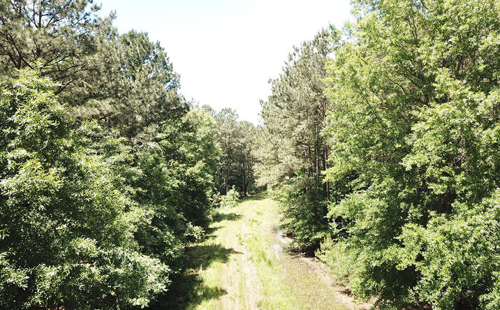 Pictures of Land property located at Co Rd 4223, Simms, TX 75574 for sales - image #1