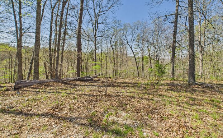 Pictures of Land property located at 14559 Hunter Lane, Winona, MO 65588 for sales - image #1