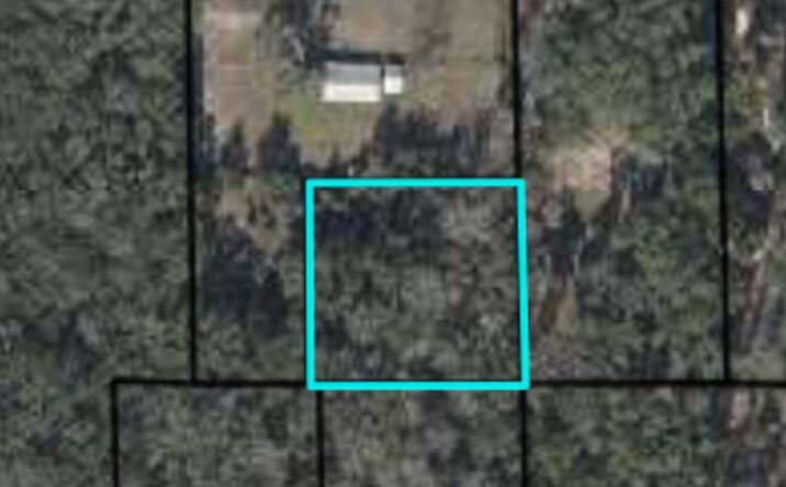Pictures of Land property located at NE 356th Ave, Old Town, FL 32680 for sales - image #1