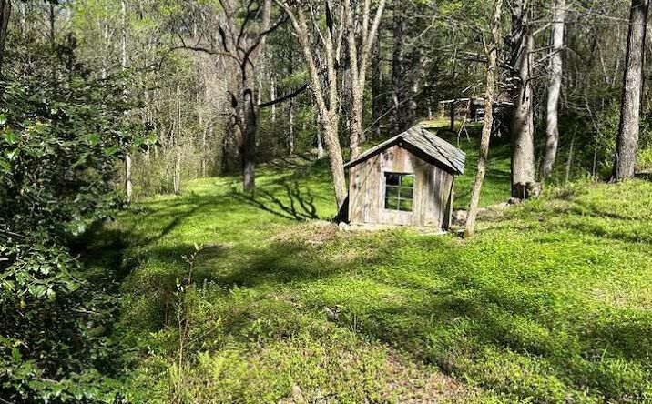 Pictures of Land property located at 8 Oak Vw Rd, Whittier, NC 28789 for sales - image #1
