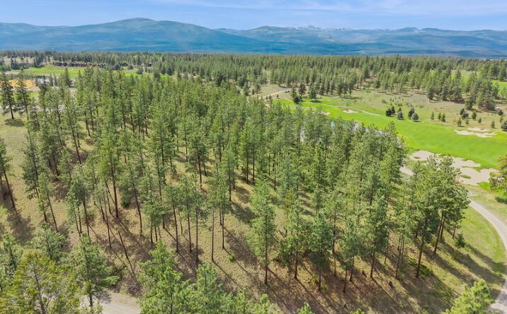 Pictures of Land property located at 216 Sundance Court, Eureka, MT 59917 for sales - image #1