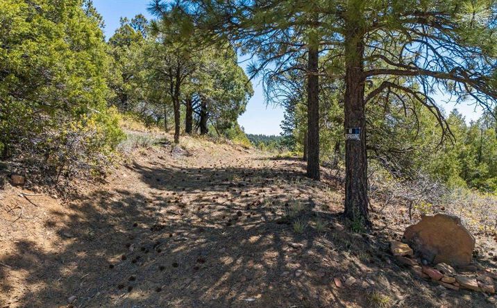 Pictures of Land property located at 275 Logging Trail 151, Durango, CO 81303 for sales - image #1