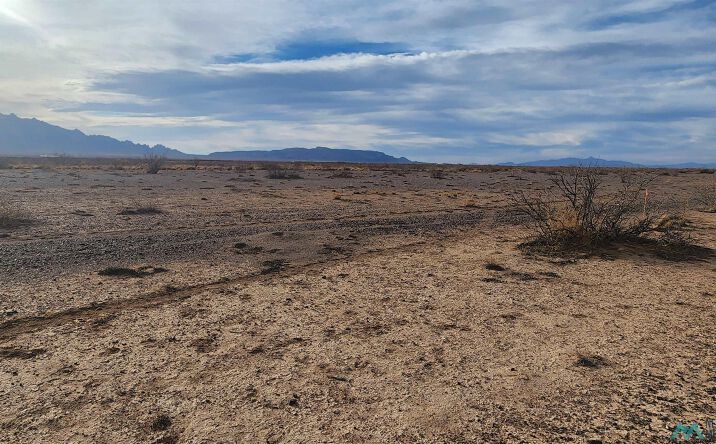 Pictures of Land property located at 00 SE 0b007 Road, Deming, NM 88030 for sales - image #1