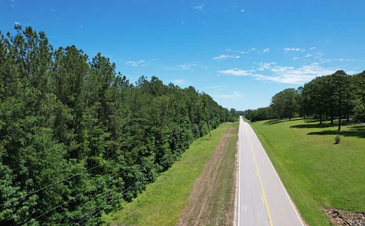 Pictures of Land property located at 000 Hwy 247, Tuscumbia, AL 35674 for sales - image #1