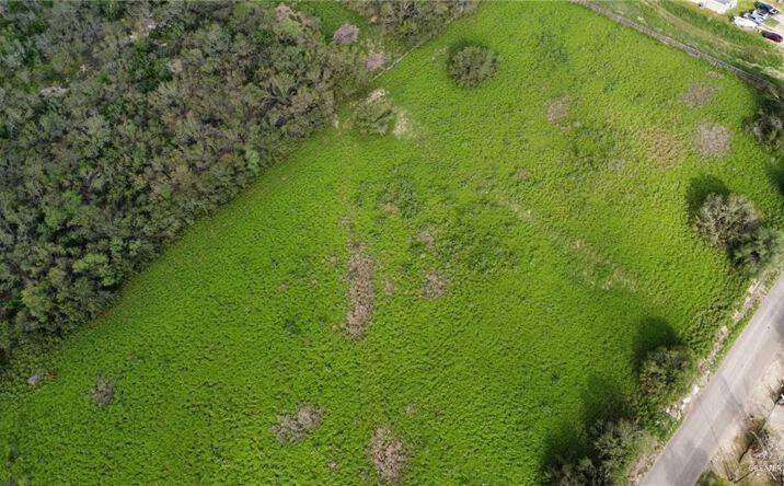 Pictures of Land property located at 0 Davis Road, Mission, TX 78574 for sales - image #1