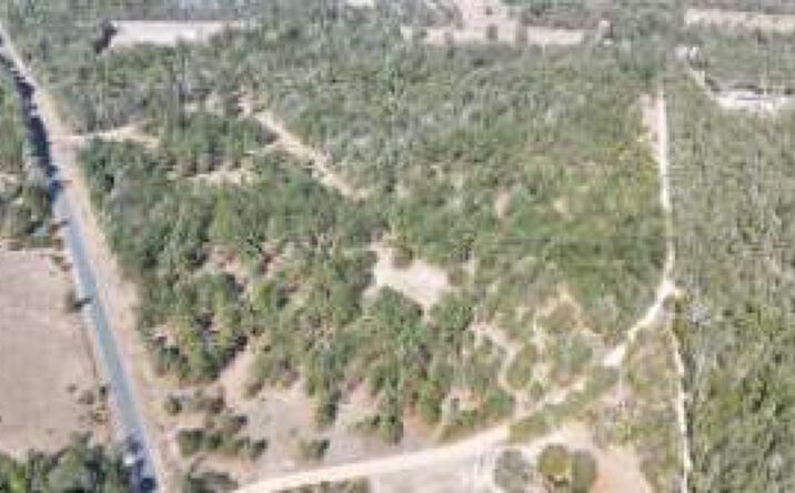 Pictures of Land property located at 3a Fellowship, Williston, SC 29853 for sales - image #1