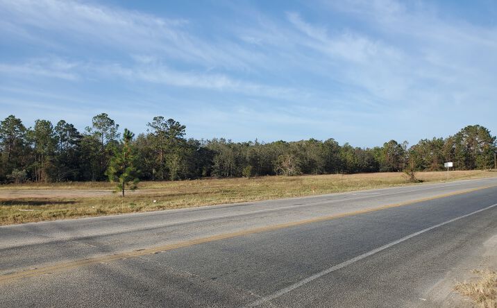 Pictures of Land property located at US 221 / Ga. 206 connector, Douglas, GA 31533 for sales - image #1