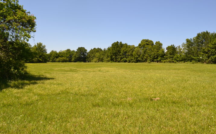 Pictures of Land property located at TBD Jefferson Terrace, New Iberia, LA 70560 for sales - image #1