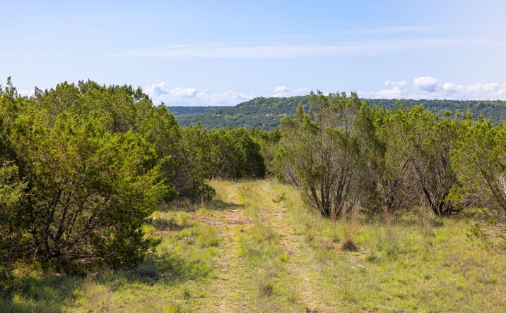 Pictures of Land property located at TBD, Lometa, USA 76853 for sales - image #1