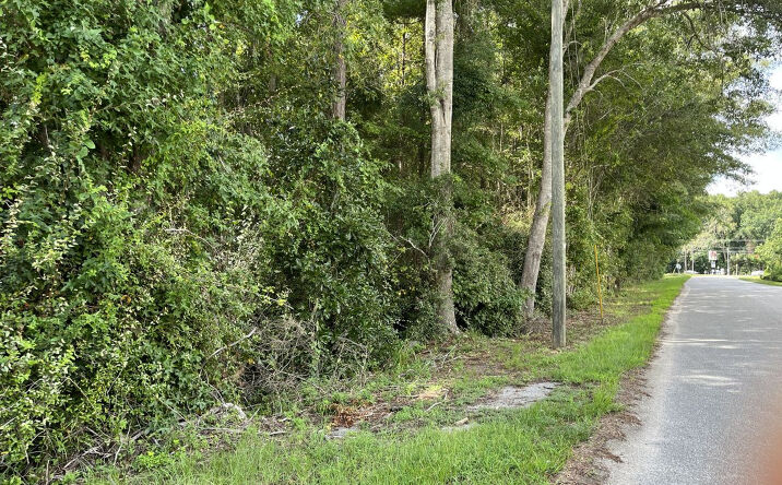 Pictures of Land property located at W Pulaski Drive, Hampton, SC 29924 for sales - image #1