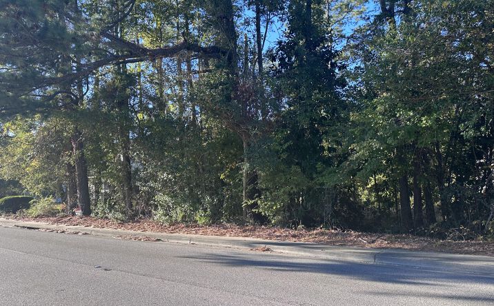 Pictures of Land property located at 0 N Live Oak Drive, Moncks Corner, SC 29461 for sales - image #1