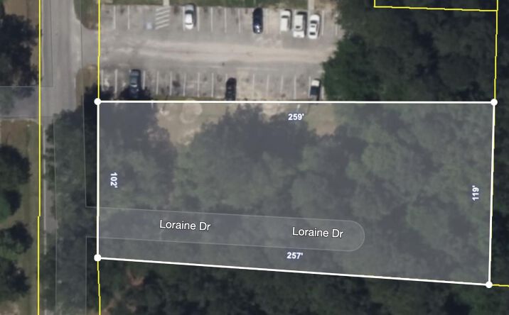 Pictures of Land property located at 100 Debbie Lane, Moncks Corner, SC 29461 for sales - image #1