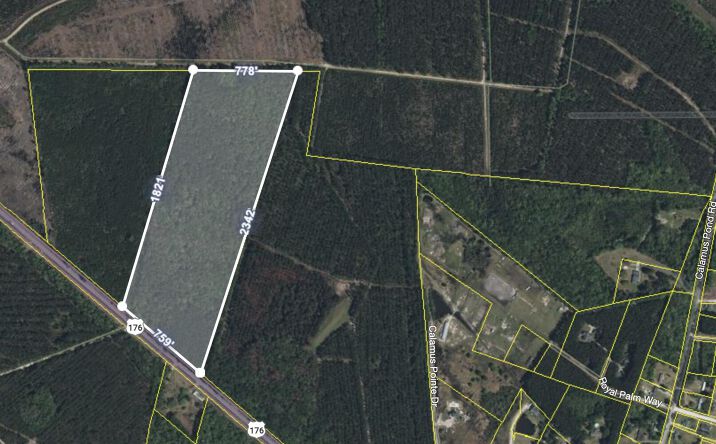 Pictures of Land property located at 2900 Highway 176, Summerville, SC 29486 for sales - image #1