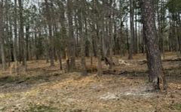 Pictures of Land property located at 755 Orangeburg Road, Summerville, SC 29483 for sales - image #1