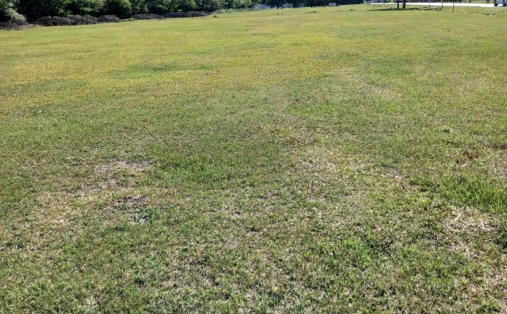 Pictures of Land property located at Meyers Road, Goose Creek, SC 29486 for sales - image #1