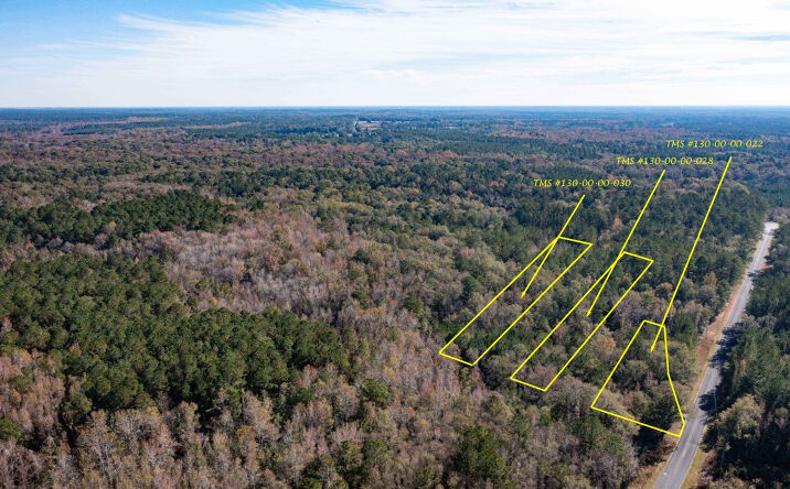 Pictures of Special Purpose property located at 0 Dennis Britt Road, Saint George, SC 29477 for sales - image #1