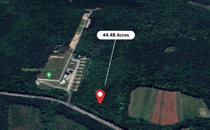 Pictures of Mixed Use property located at 004 Summers Road, Summerville, SC 29485 for sales - image #1