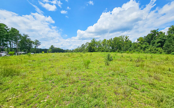 Pictures of Land property located at 0 Bells Highway, Walterboro, SC 29488 for sales - image #1