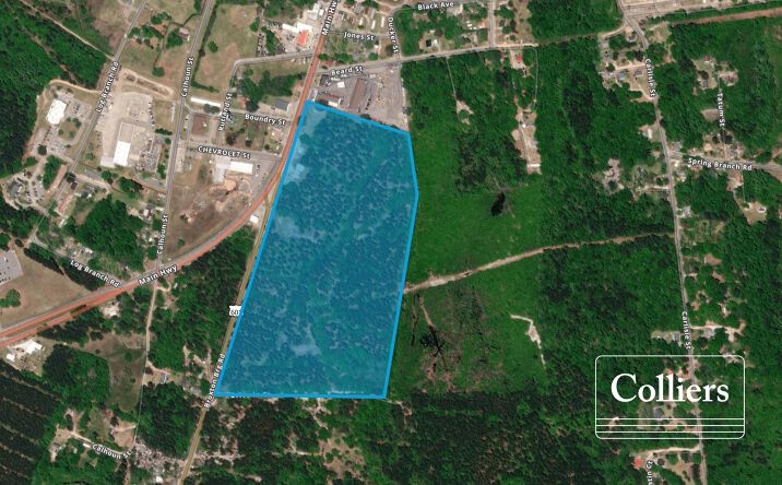 Pictures of Land property located at 3905 Main Highway, Bamberg, SC 29003 for sales - image #1