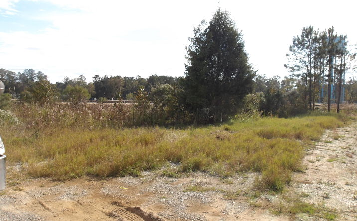 Pictures of Land property located at 1936 Orangeburg Road, Summerville, SC 29483 for sales - image #1