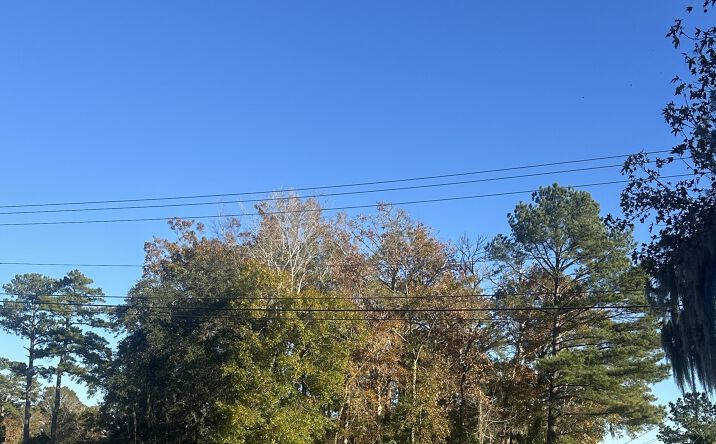 Pictures of Land property located at 1711 Old Trolley Road, Summerville, SC 29485 for sales - image #1