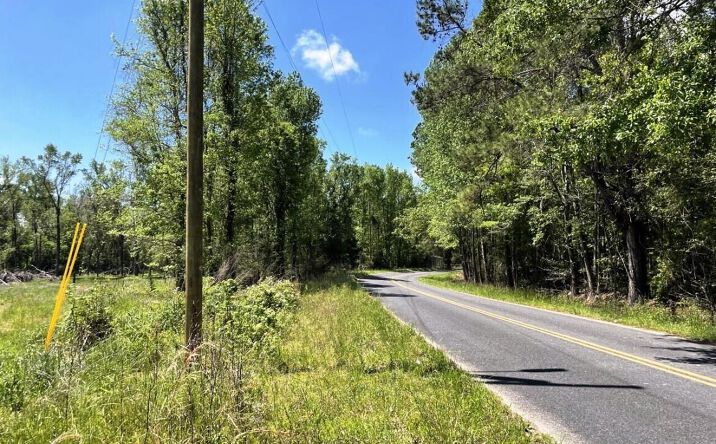 Pictures of Industrial property located at 00000 Annavesta Road, Hollywood, SC 29449 for sales - image #1