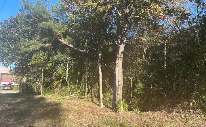 Pictures of Land property located at 220 N Highway 52, Moncks Corner, SC 29461 for sales - image #1