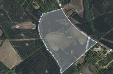 23561913