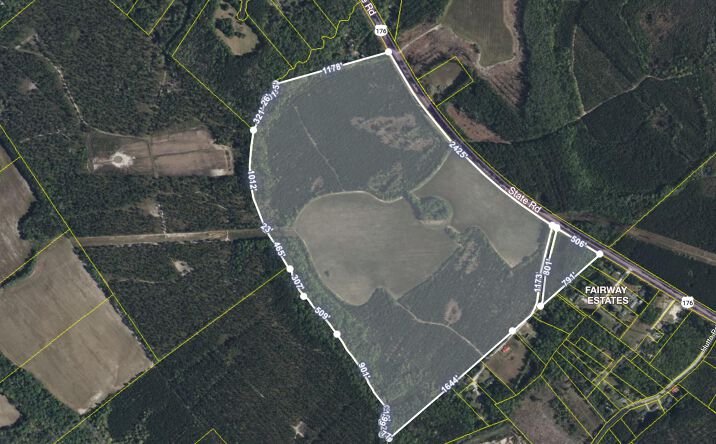 Pictures of Land property located at 4391 Highway 176 Road, Ridgeville, SC 29472 for sales - image #1