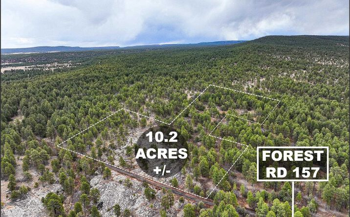 Pictures of Land property located at LOT 25A Forest 157 Road, Mcgaffey, NM 87316 for sales - image #1