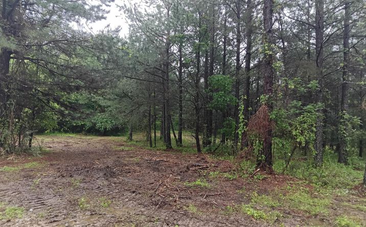 Pictures of Land property located at 0 James Hale Road, Jackson, OH 45640 for sales - image #1