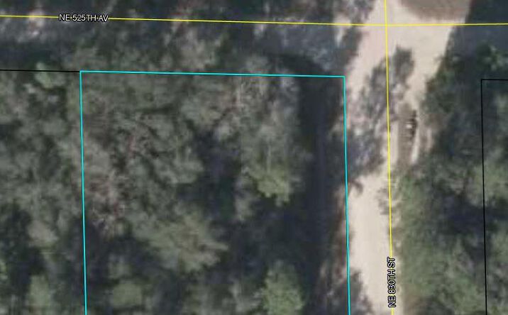 Pictures of Land property located at NE 830th St, Old Town, FL 32680 for sales - image #1