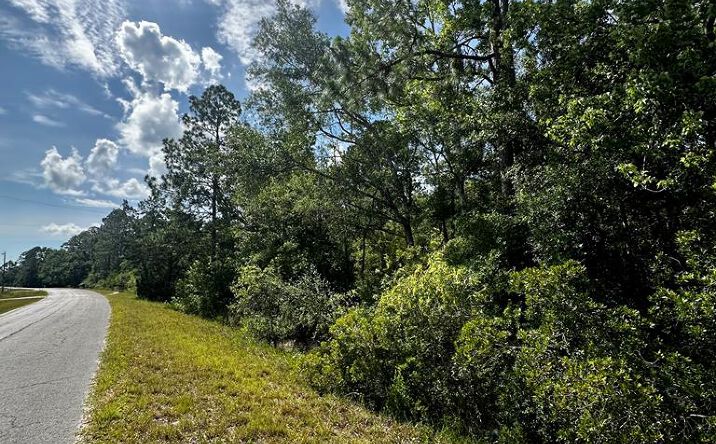 Pictures of Land property located at SW 316th Ave, Cross City, FL 32628 for sales - image #1