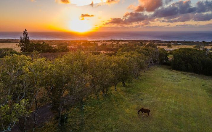 Pictures of Hospitality, Land property located at 56-2864 Akoni Pule Hwy, Hawi, HI 96719 for sales - image #1