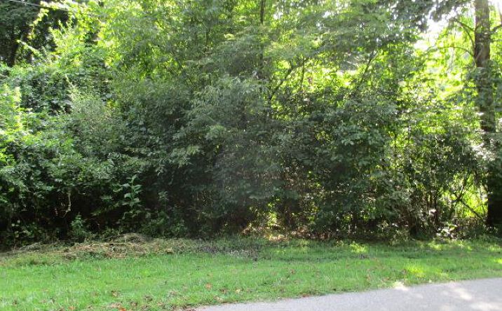 image of property at TBA CORNELIUS DRIVE Abingdon VA 24211