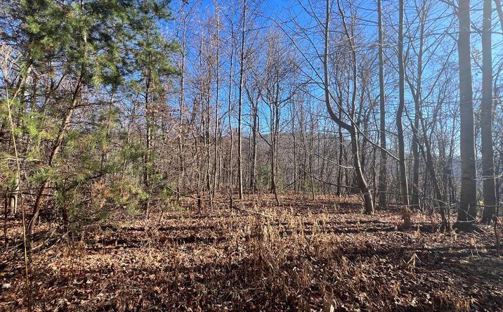 Pictures of Land property located at TBD Rocky Ford Road, Cana, VA 24317 for sales - image #1