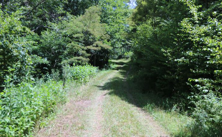 image of property at TBD SW BLACK RIDGE ROAD Floyd VA 24091
