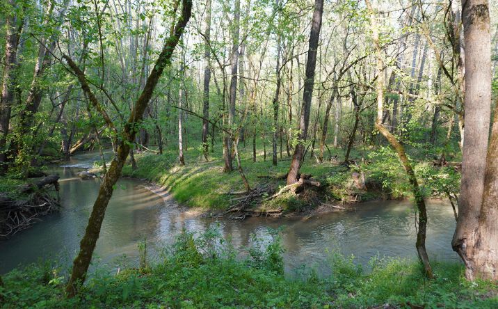Pictures of Land property located at Golf Course Rd, Newport, TN 37821 for sales - image #1