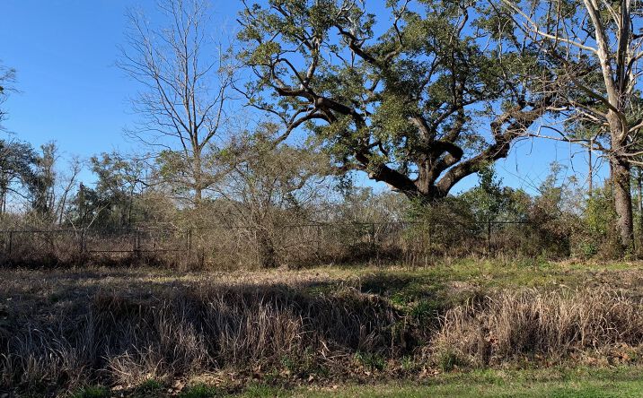 Pictures of Retail, Land property located at 2409 Wolf Ridge Rd, Mobile, AL 36618 for sales - image #1