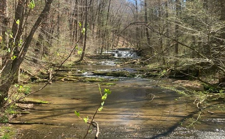 image of property at TBD HAYTERS GAP ROAD Abingdon VA 24210