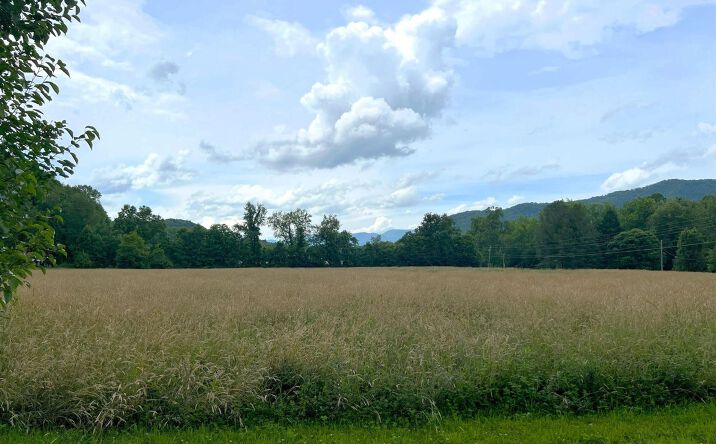 Pictures of Land property located at Par 130.01 S Hwy 32, Cosby, TN 37722 for sales - image #1