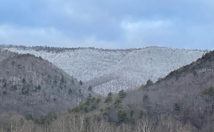 Pictures of Land property located at 7305 Big Back Creek Rd, Warm Springs, VA 24484 for sales - image #1
