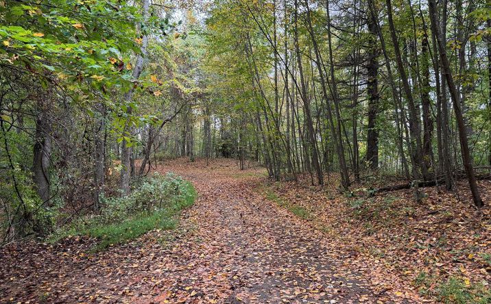 Pictures of Land, Multifamily property located at TBD Soapridge Rd., Dugspur, VA 24325 for sales - image #1