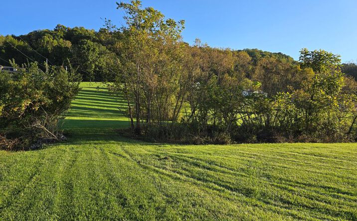 Pictures of Land, Multifamily property located at TBD Dishner Valley Rd, Bristol, VA 24201 for sales - image #1
