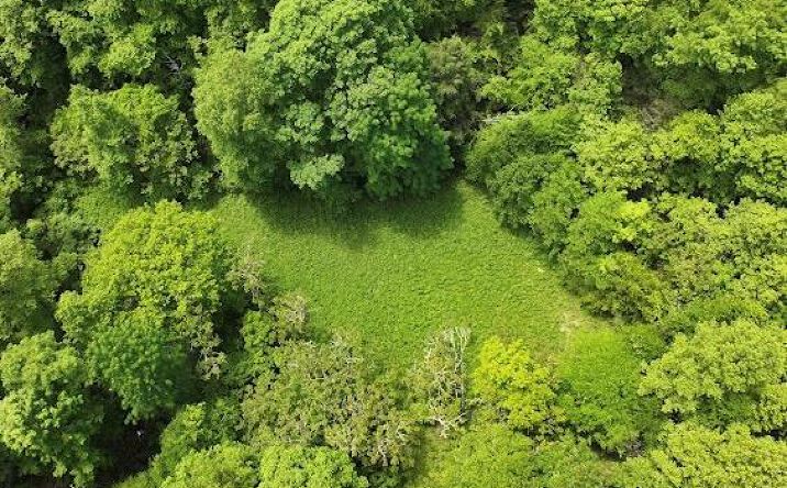 Pictures of Land, Multifamily property located at TBD Buffalow Hollow Road, Castlewood, VA 24224 for sales - image #1
