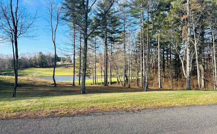 Pictures of Land, Multifamily property located at TBD Lot 18 Manor House Dr, Laurel Fork, VA 24352 for sales - image #1