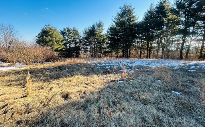 Pictures of Land, Multifamily property located at TBD Keep Away Trail, Fancy Gap, VA 24328 for sales - image #1