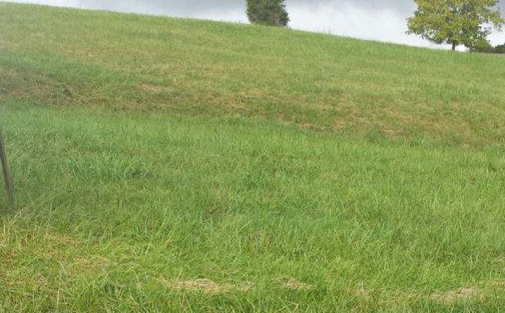 Pictures of Land property located at Lot C4 Price St, Lebanon, VA 24266 for sales - image #1