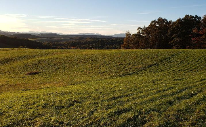 Pictures of Land, Multifamily property located at TBD Crestview Mountain Dr Lot 46, Ennice, NC 28623 for sales - image #1